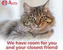 We Welcome You and Your Furry Companions