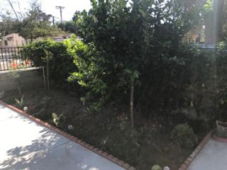 Community Picture