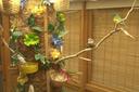 Amenity