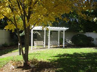 Community Picture