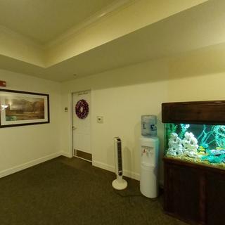 Community Picture