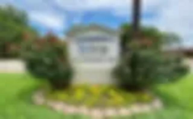 Community Picture