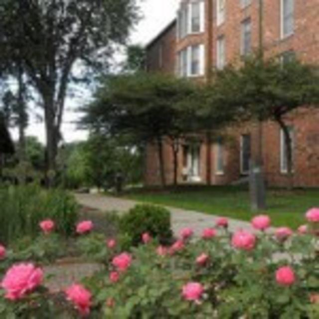 Community Picture