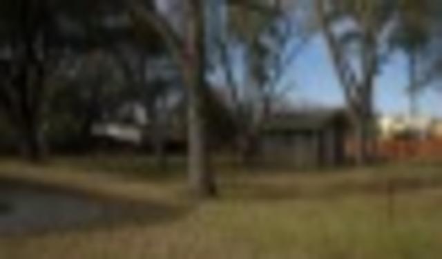 Community Picture