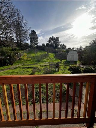 Community Picture