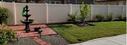 Courtyard Gardeb