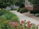 Courtyard Walking Path