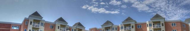 Community Picture
