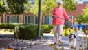 Carlton Senior Living Sacramento - Activity