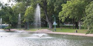 Community Picture