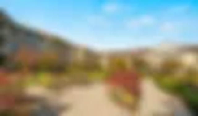 Community Picture