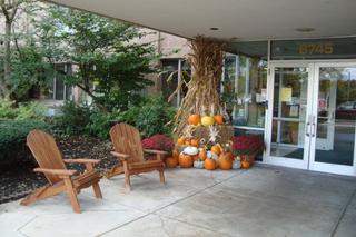 Community Picture