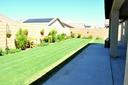 Courtyard Garden