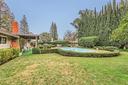 Pool | Backyard