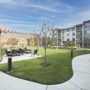 Amenity
