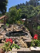 Water Feature Area