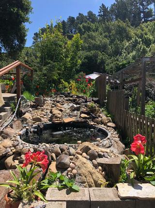 Community Picture