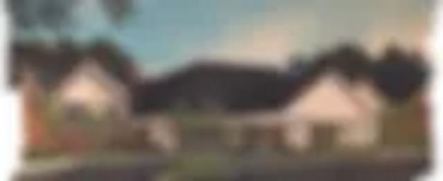 Community Picture