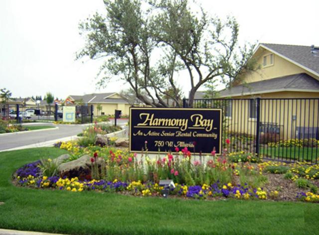 Community Picture