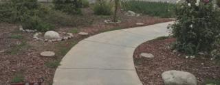 Community Picture