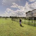 Amenity