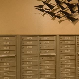 Community Picture