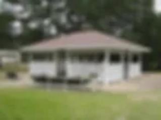 Community Picture