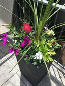 Amenity