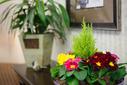 Amenity