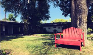Community Picture