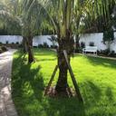 Amenity