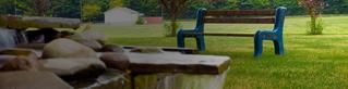 Community Picture