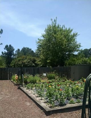 Community Picture