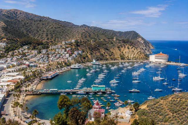 LA County Catalina PurpleDoorFinders