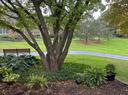 Amenity