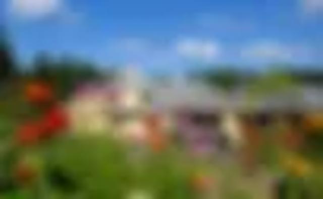 Community Picture