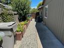 Sen's Caregiving - Backyard 2