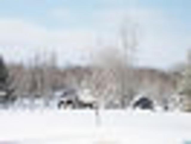 Community Picture