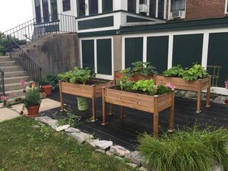 Community Picture