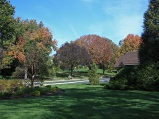 Community Picture