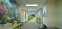 Interactive Murals