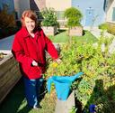 Gardening