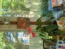 Amenity