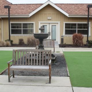 Community Picture