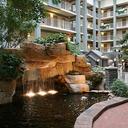 Amenity