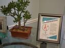 Amenity
