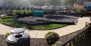 Community Picture