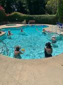 Activity