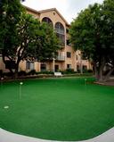 Amenity