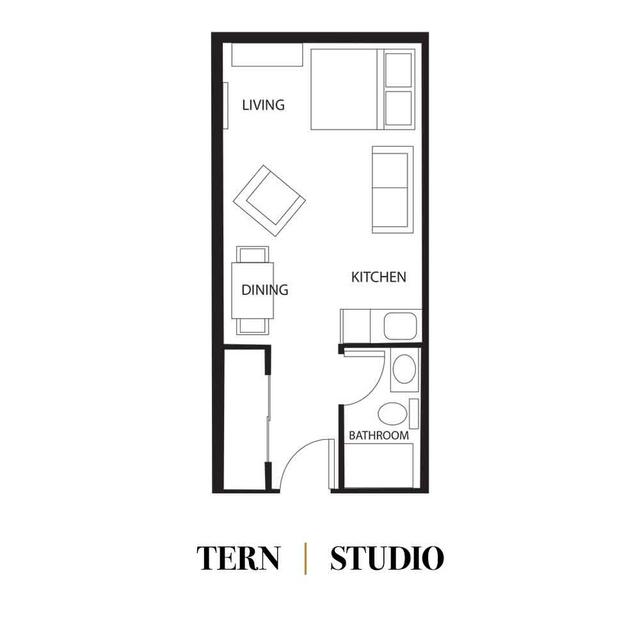 Tern - Studio